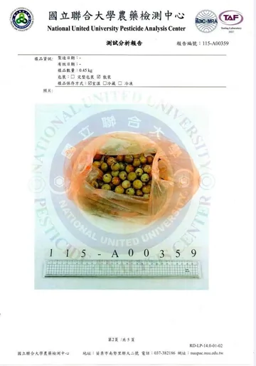 檢驗報告第 2 頁,送驗的油甘果照片,編號 115-A00359